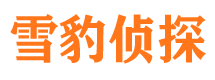 微山侦探公司